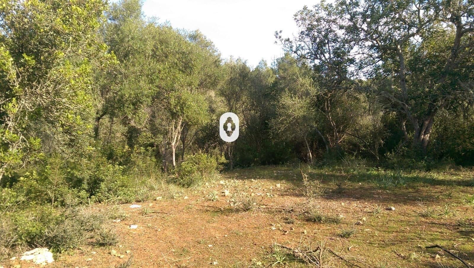 Bauplatz zu verkaufen in Llubi - 175.000 € (Ref: 9470514)