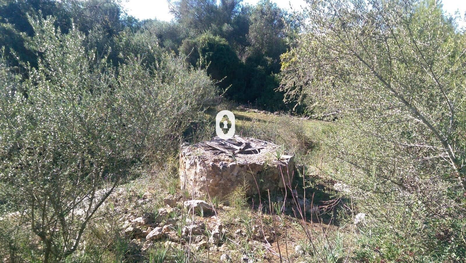 Bauplatz zu verkaufen in Llubi - 175.000 € (Ref: 9470514)