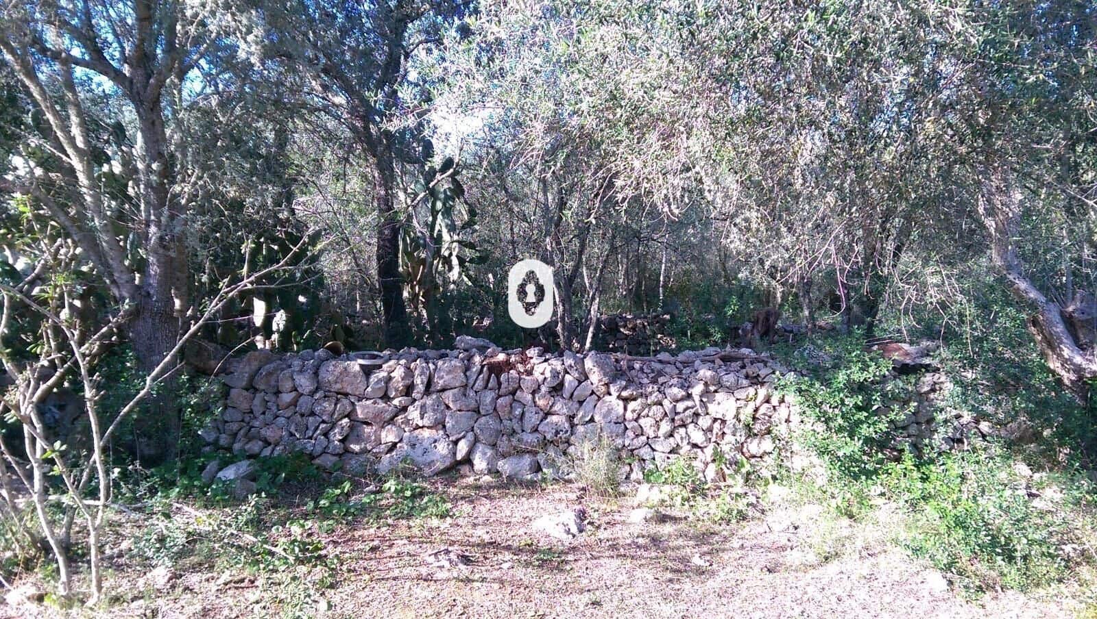 Bauplatz zu verkaufen in Llubi - 175.000 € (Ref: 9470514)