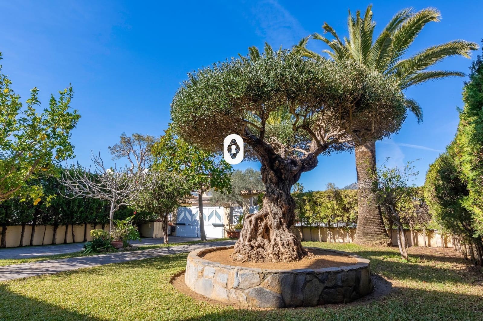 3 chambre Villa/Maison à vendre à Muro avec piscine garage - 1 100 000 € (Ref: 9637713)