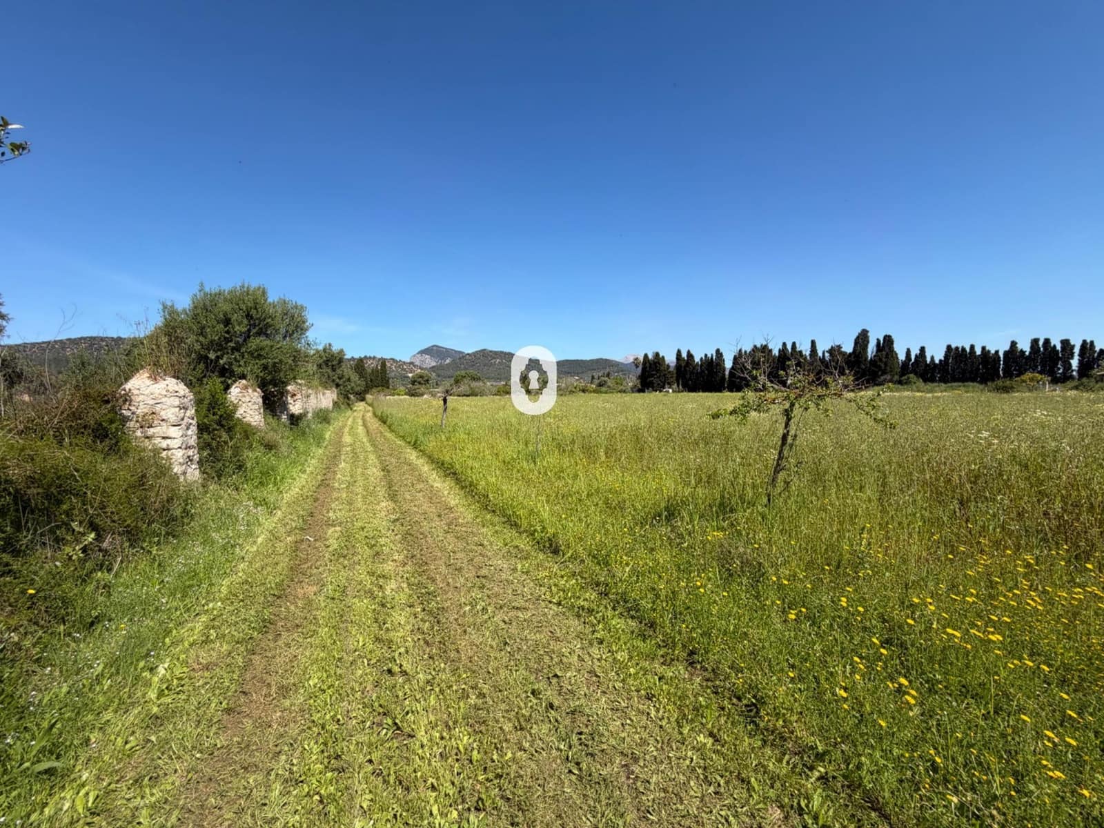 Finca/Herregård til salgs i Binissalem - € 260 000 (Ref: 9794760)