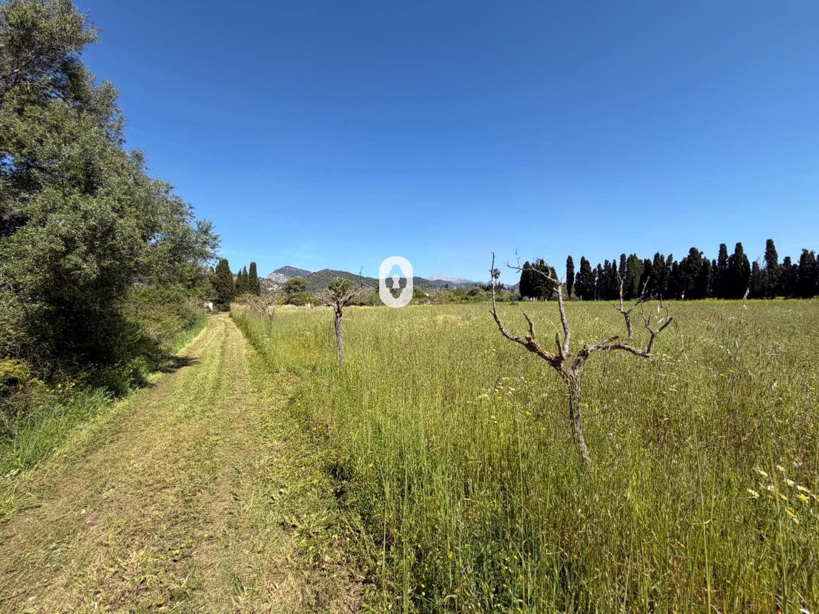 Finca/Herregård til salgs i Binissalem - € 260 000 (Ref: 9794760)