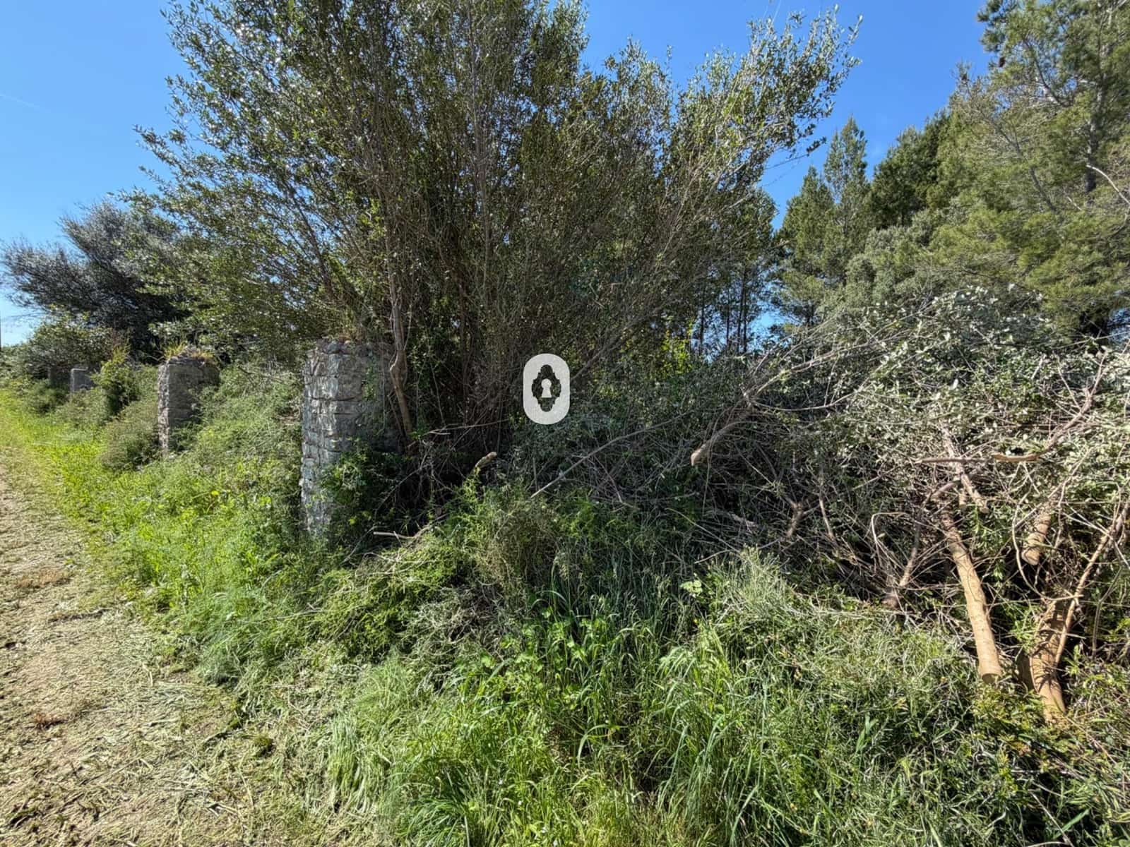 Finca/Herregård til salgs i Binissalem - € 260 000 (Ref: 9794760)