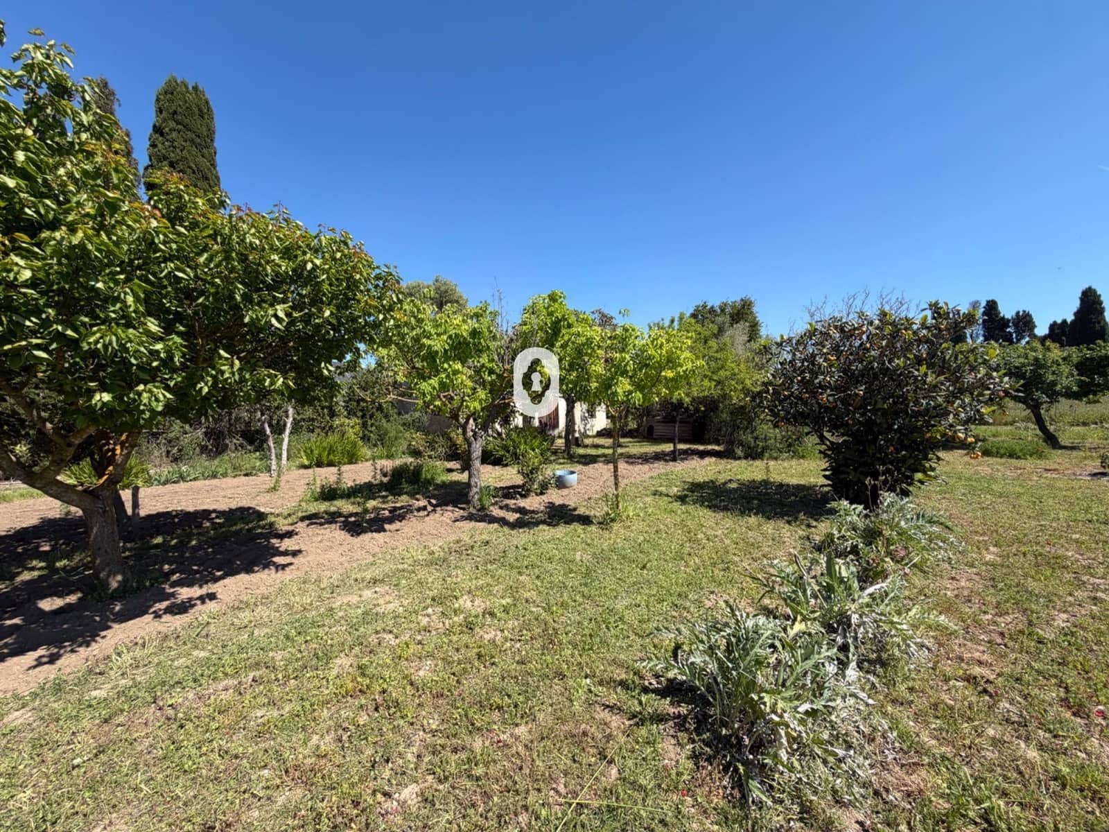 Finca/Herregård til salgs i Binissalem - € 260 000 (Ref: 9794760)