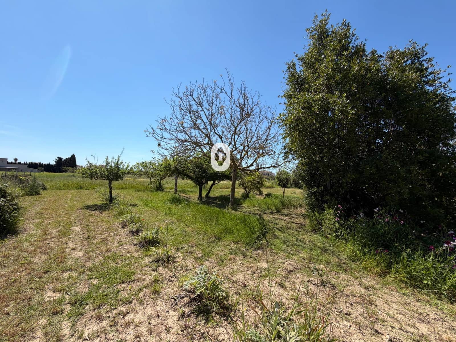 Finca/Herregård til salgs i Binissalem - € 260 000 (Ref: 9794760)