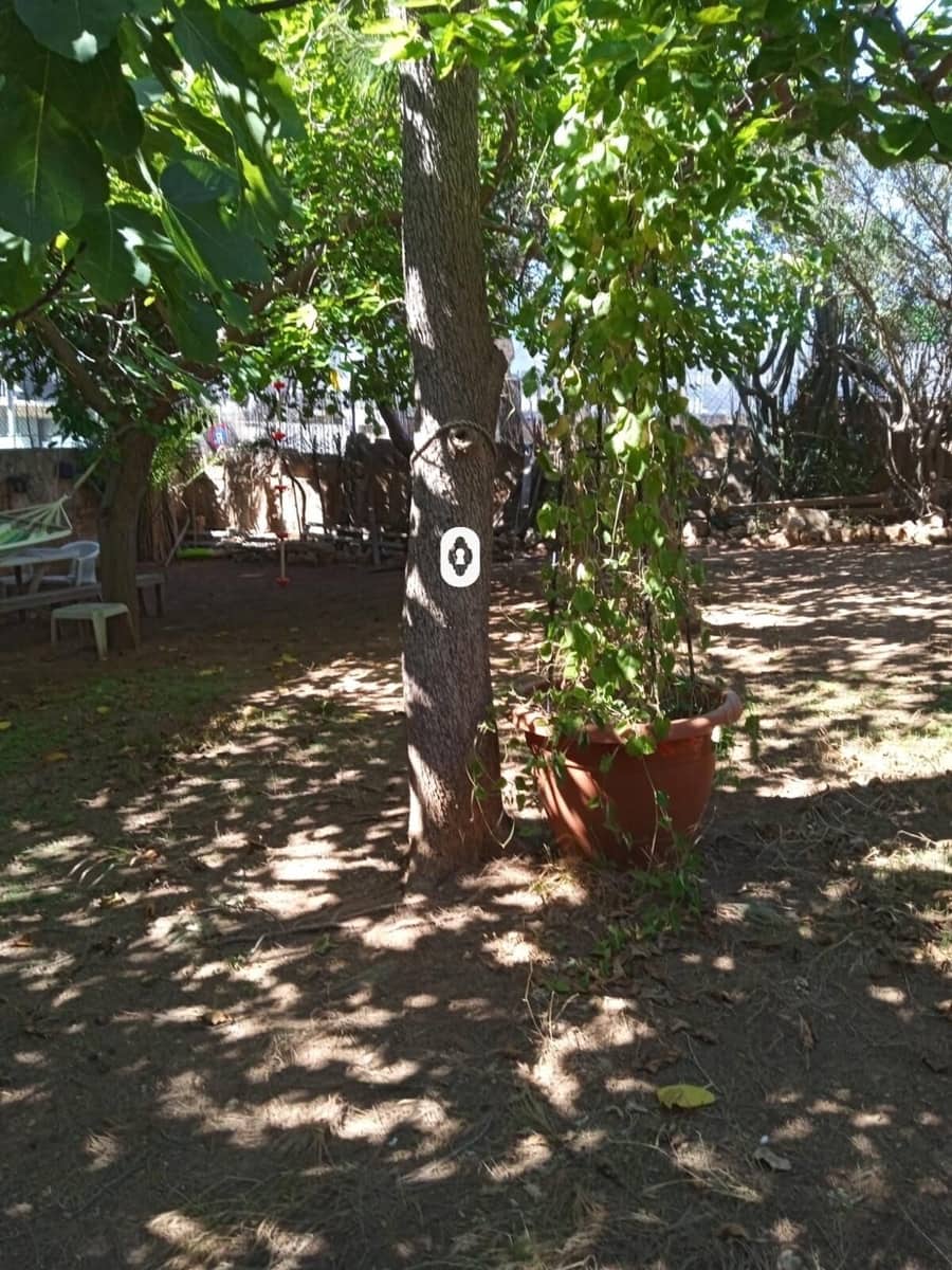 Building Plot for sale in Cala Vinyes / Cala Vinyas / Cala Vinas - € 1,800,000 (Ref: 9846525)