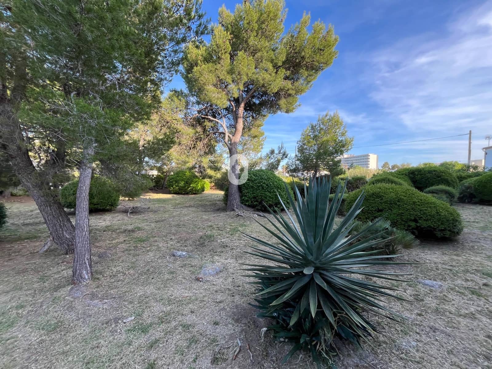 Estúdio para arrendar em Pollensa / Pollenca - 1 000 € (Ref: 9882007)