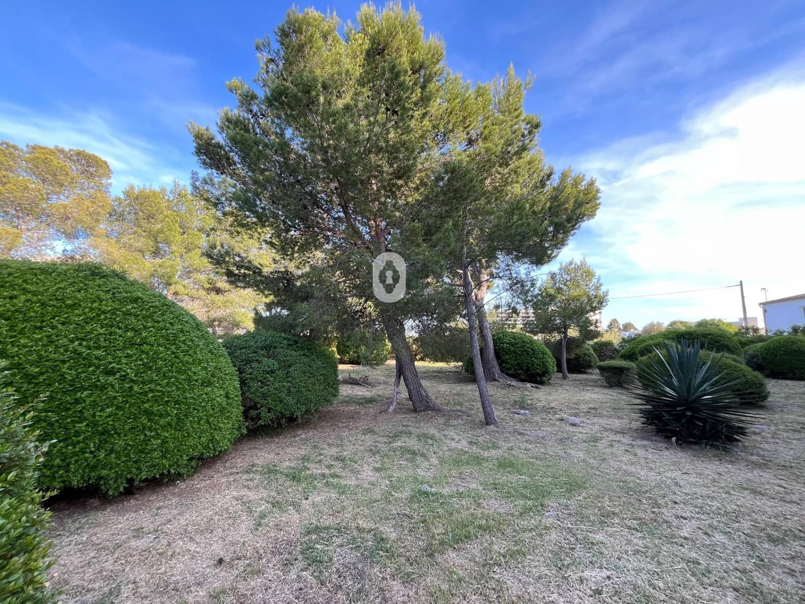 Estúdio para arrendar em Pollensa / Pollenca - 1 000 € (Ref: 9882007)