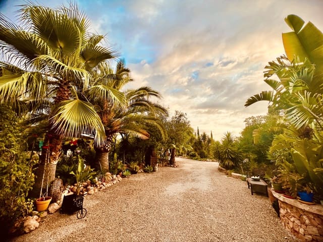 7 soveværelse Finca/Landehus til salg i Llucmajor med swimmingpool garage - € 1.900.000 (Ref: 9298729)