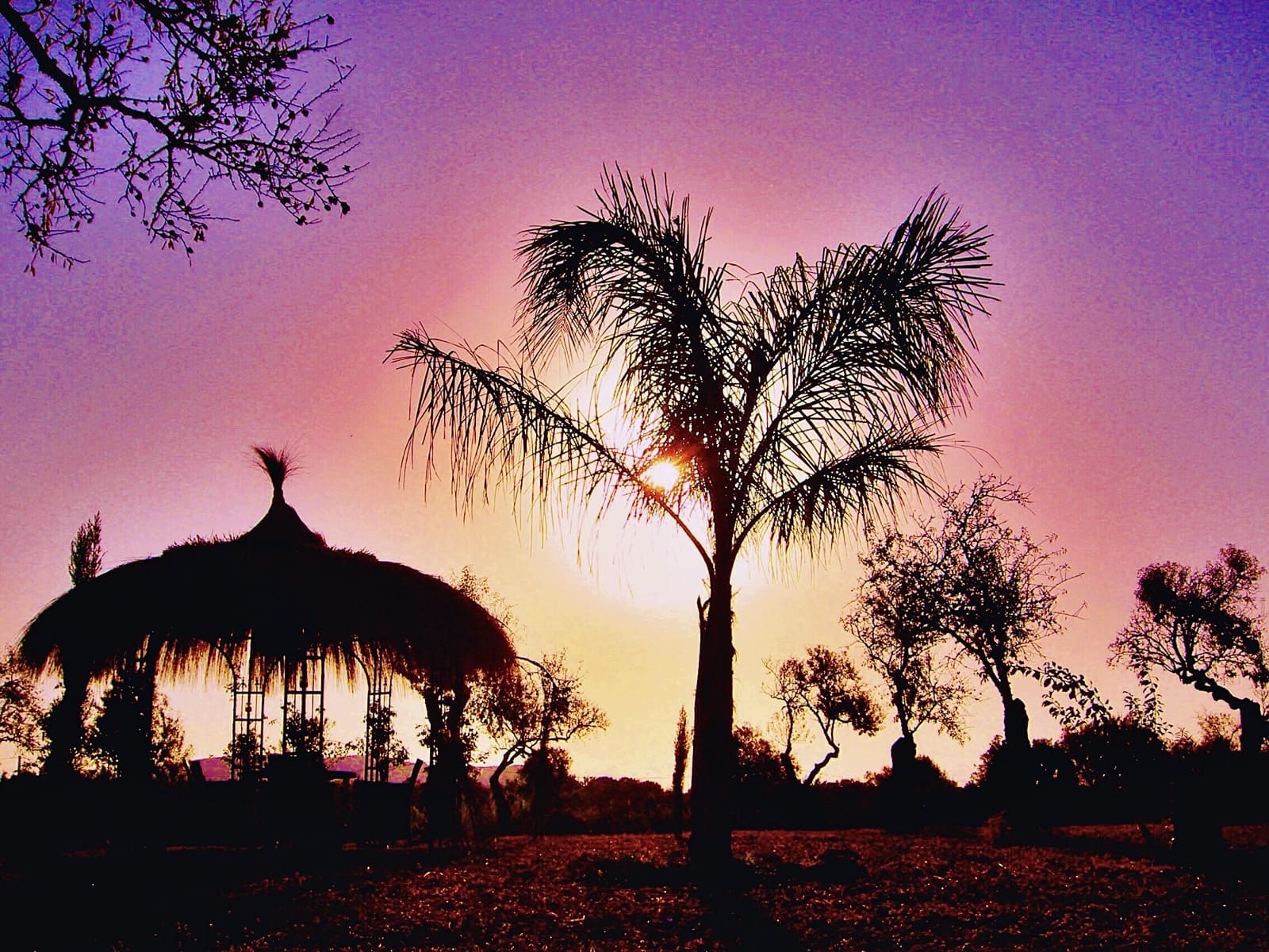 7 soveværelse Finca/Landehus til salg i Llucmajor med swimmingpool garage - € 1.900.000 (Ref: 9298729)