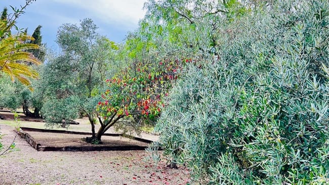 20 camera da letto Finca/Casa di Campagna in vendita in Ubeda con piscina - 849.000 € (Rif: 9433512)