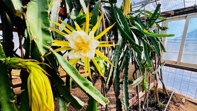 4 chambre Villa/Maison à vendre à Loja avec garage - 380 000 € (Ref: 9626498)