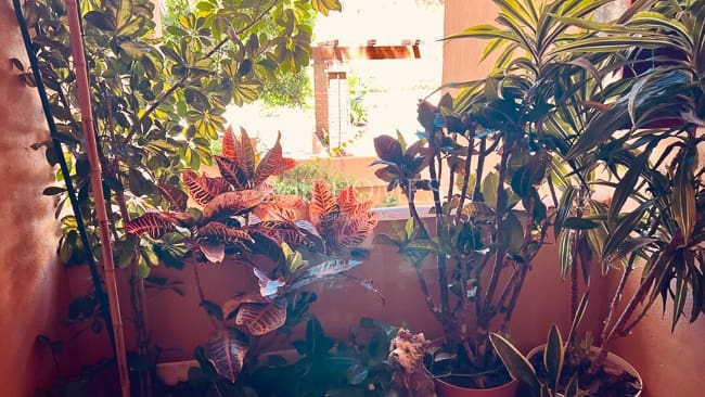 1 bedroom Apartment for sale in Mijas with pool - € 220,000 (Ref: 9867291)