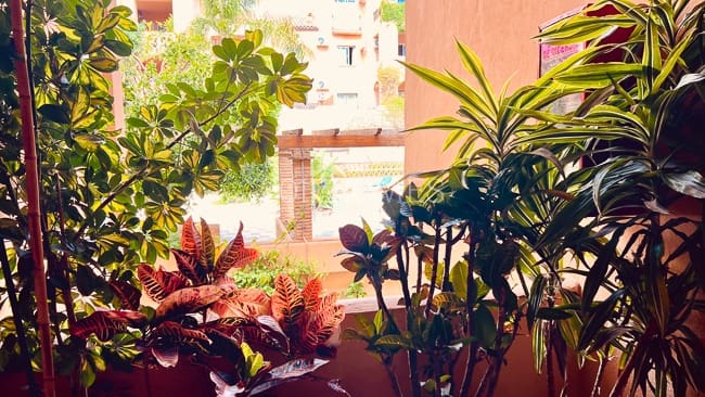 1 bedroom Apartment for sale in Mijas with pool - € 220,000 (Ref: 9867291)