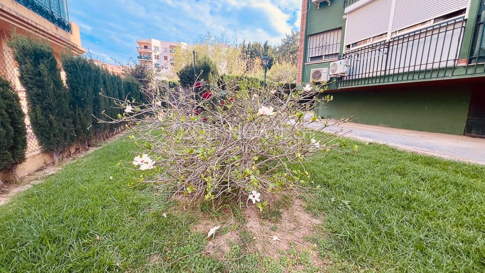 3 soverom Leilighet til salgs i Malaga by med svømmebasseng garasje - € 319 000 (Ref: 9880331)