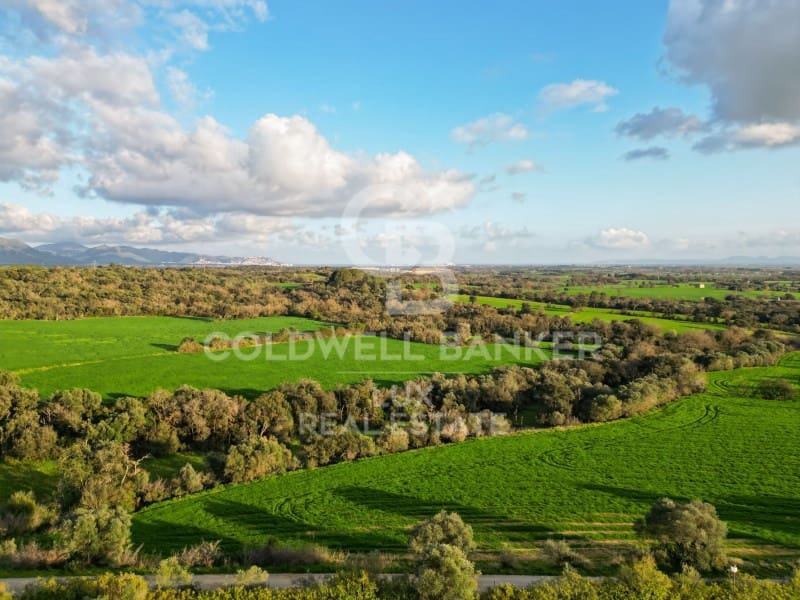 Tomt till salu i Peralada - 485 000 € (Ref: 8575207)