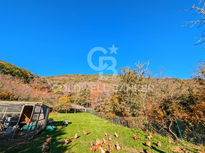 12 soveværelse Finca/Landehus til salg i Agullana med swimmingpool - € 1.550.000 (Ref: 8699684)