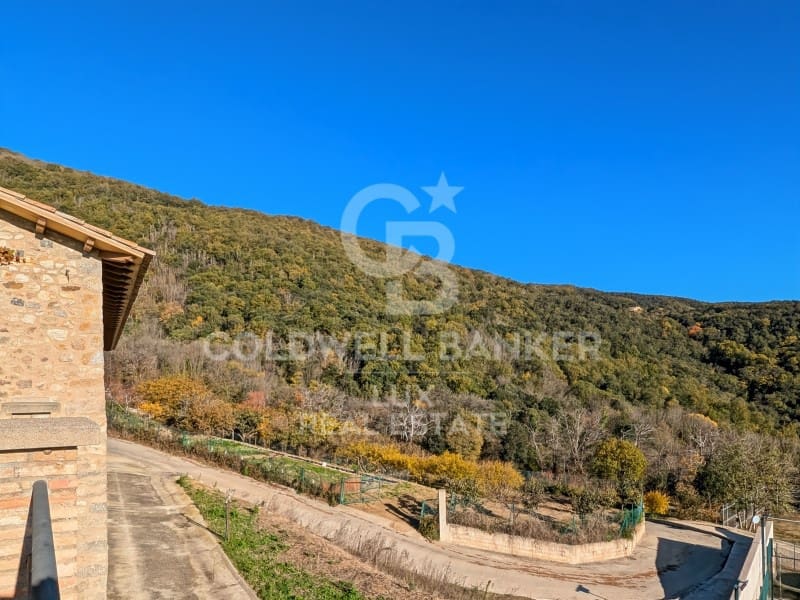 12 soveværelse Finca/Landehus til salg i Agullana med swimmingpool - € 1.550.000 (Ref: 8699684)