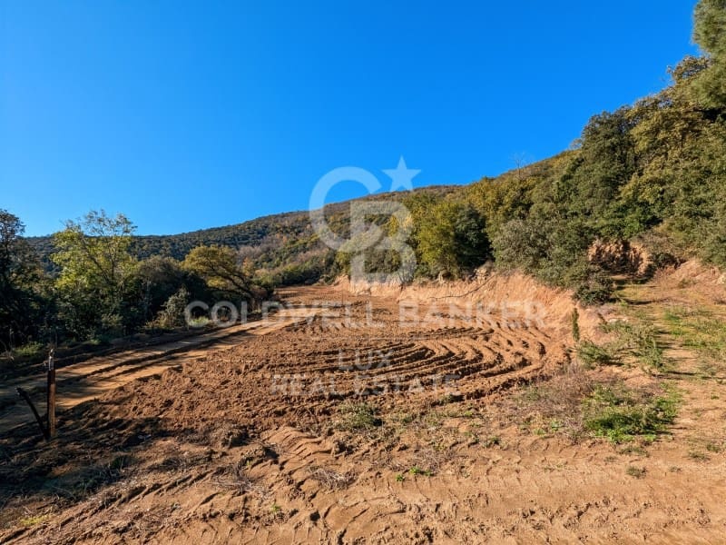 12 soveværelse Finca/Landehus til salg i Agullana med swimmingpool - € 1.550.000 (Ref: 8699684)