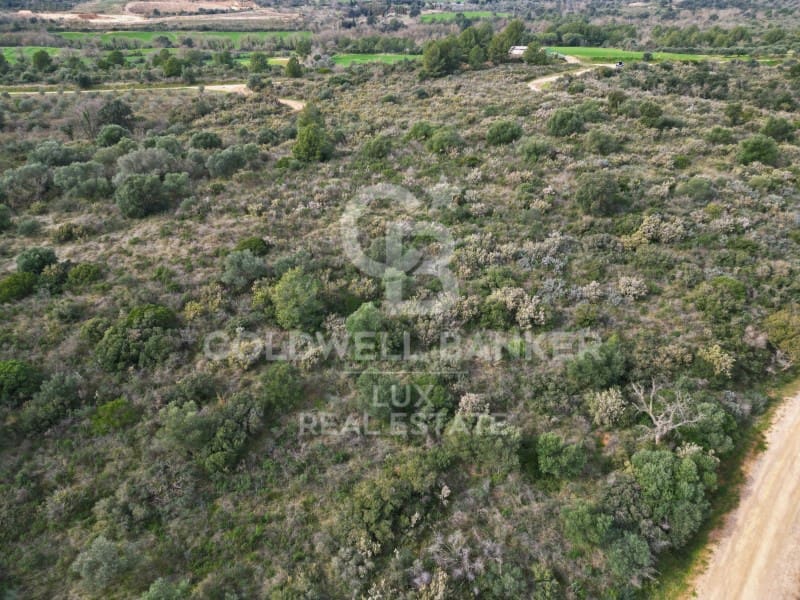 Byggegrund til salg i Garriguella - € 2.448.000 (Ref: 8836868)