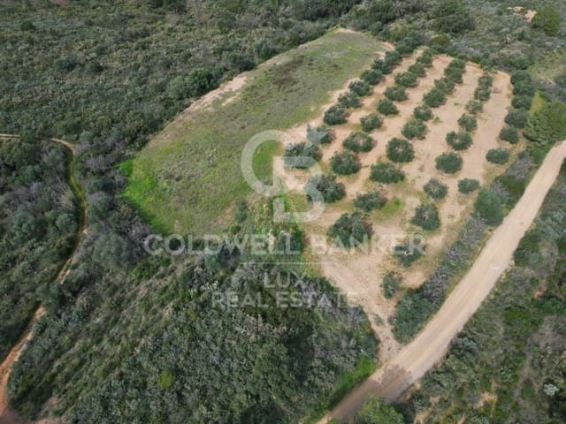 Building Plot for sale in Garriguella - € 2,448,000 (Ref: 8836868)