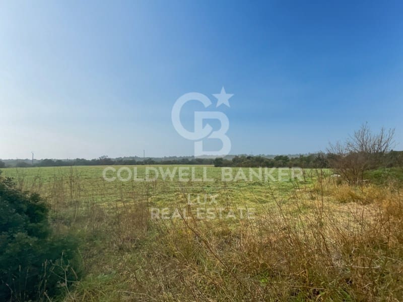 Rakentamaton maa myytävänä paikassa Peralada - 750 000 € (Ref: 9204817)