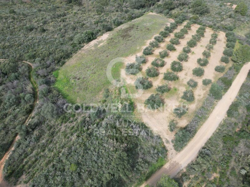 Rakentamaton maa myytävänä paikassa Peralada - 750 000 € (Ref: 9204817)