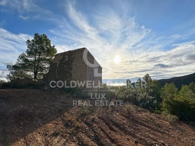 Undeveloped Land for sale in Pratdip - € 425,000 (Ref: 9262838)