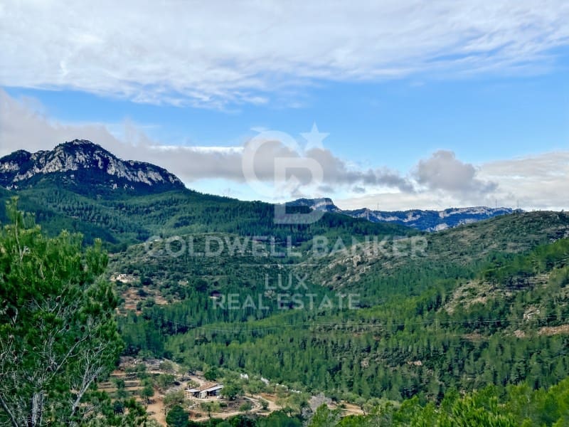 Undeveloped Land for sale in Pratdip - € 425,000 (Ref: 9262838)