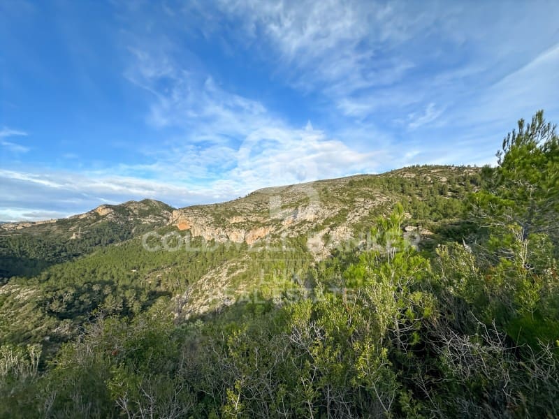 Undeveloped Land for sale in Pratdip - € 425,000 (Ref: 9262838)