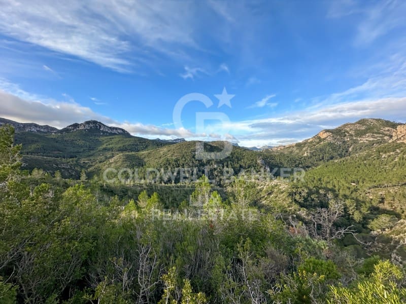 Undeveloped Land for sale in Pratdip - € 425,000 (Ref: 9262838)