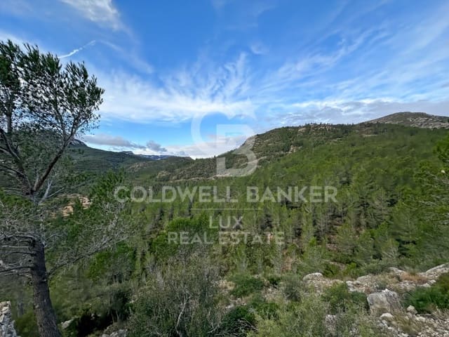 Ubebygd land til salgs i Pratdip - € 450 000 (Ref: 9262838)