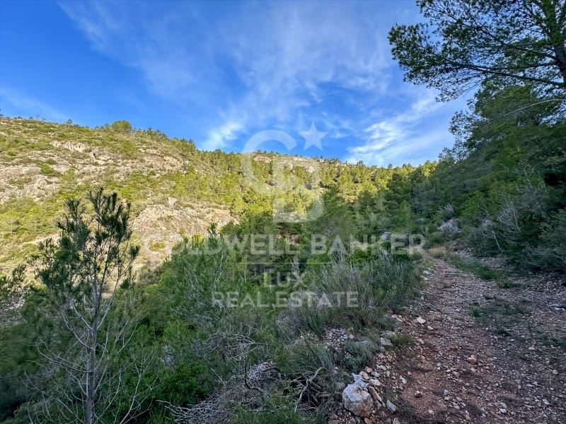 Undeveloped Land for sale in Pratdip - € 425,000 (Ref: 9262838)
