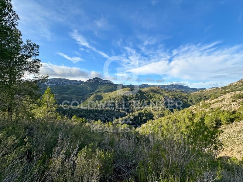 Undeveloped Land for sale in Pratdip - € 425,000 (Ref: 9262838)