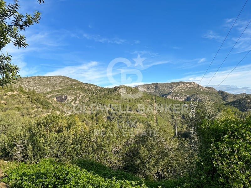 Undeveloped Land for sale in Pratdip - € 425,000 (Ref: 9262838)