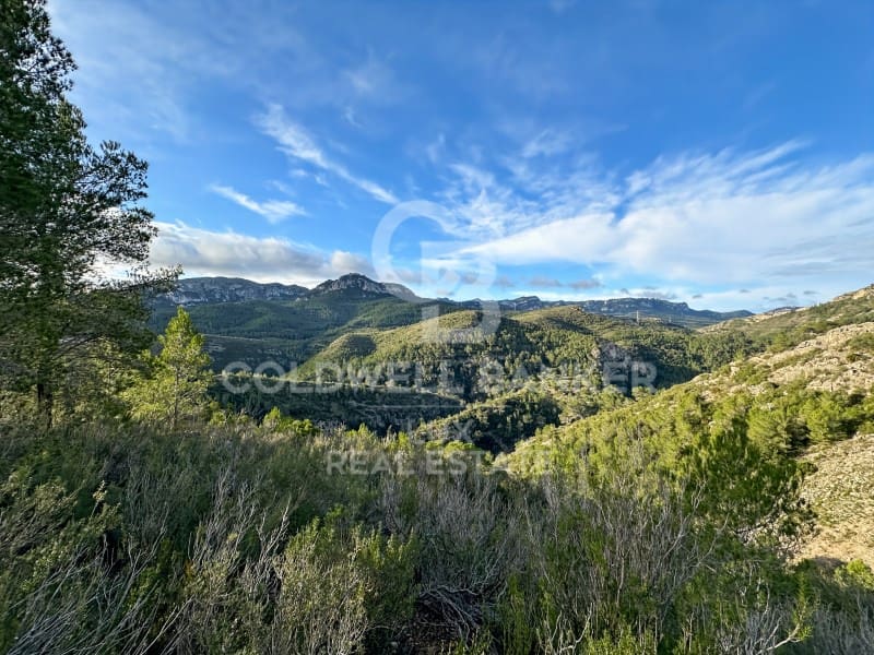 Undeveloped Land for sale in Pratdip - € 425,000 (Ref: 9262838)