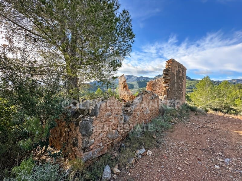 Undeveloped Land for sale in Pratdip - € 425,000 (Ref: 9262838)