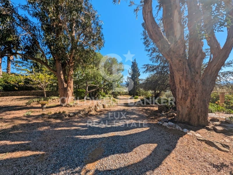 8 camera da letto Finca/Casa di Campagna in vendita in Pau con piscina - 1.750.000 € (Rif: 9291279)