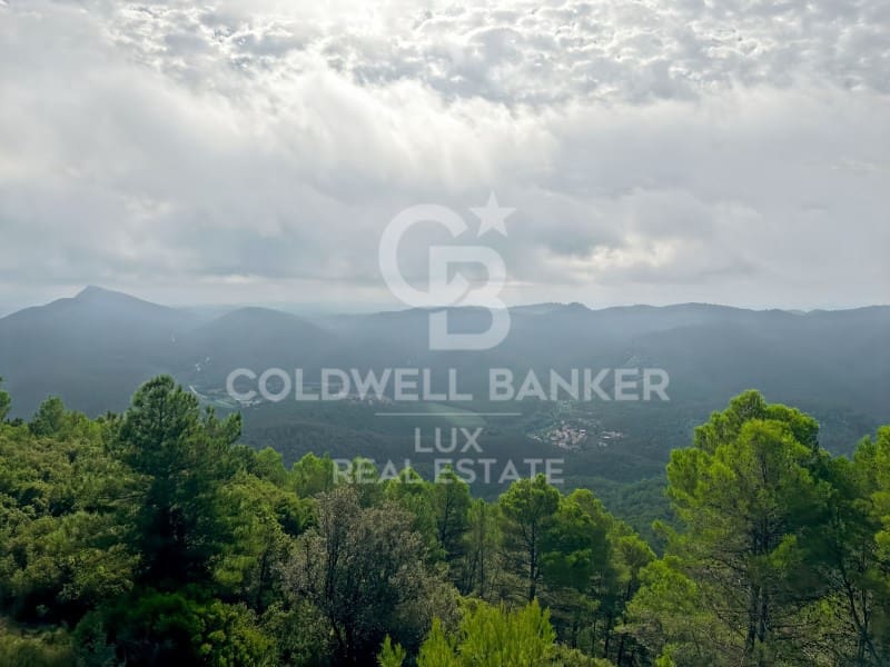 Undeveloped Land for sale in Sant Llorenc de la Muga - € 900,000 (Ref: 9729270)