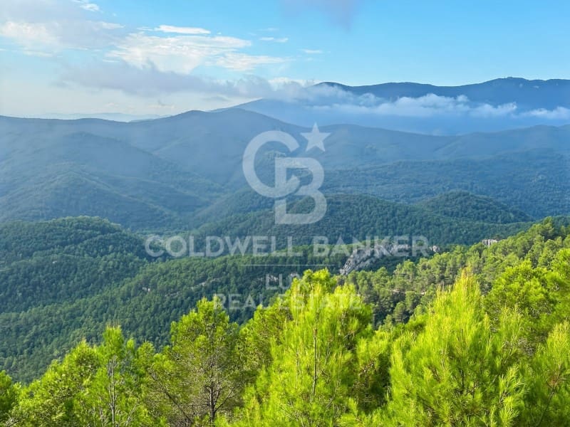 Undeveloped Land for sale in Sant Llorenc de la Muga - € 900,000 (Ref: 9729270)