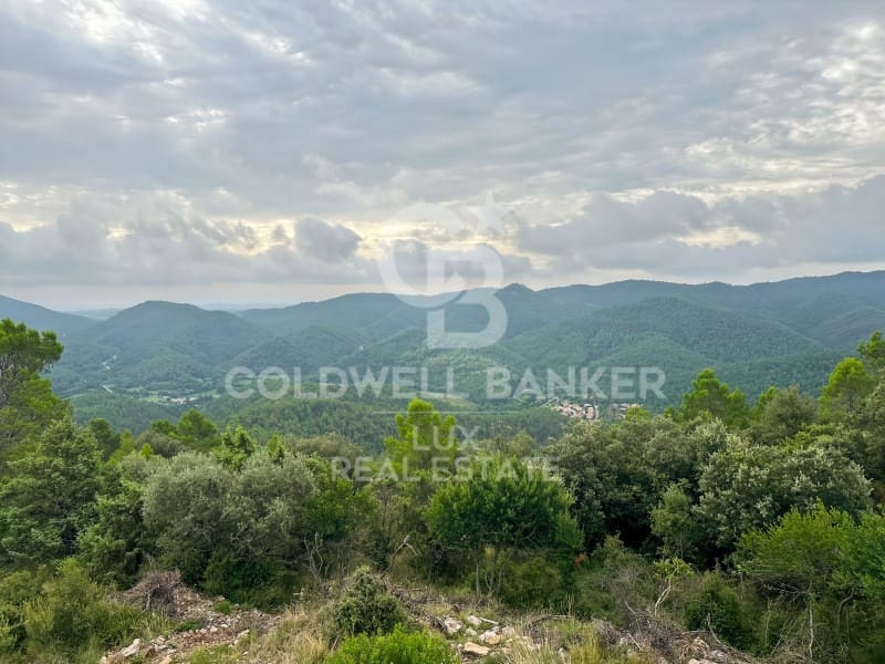Undeveloped Land for sale in Sant Llorenc de la Muga - € 900,000 (Ref: 9729270)