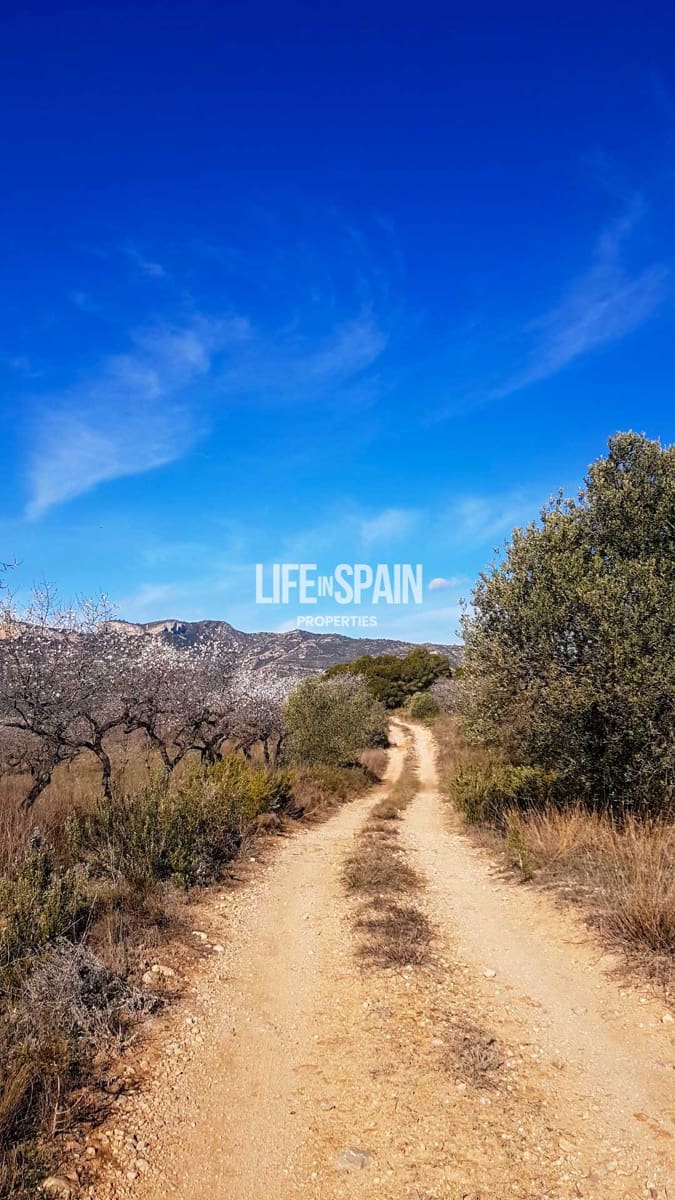 Finca/Casa Rural de 4 habitaciones en Miravet en venta - 310.000 € (Ref: 10167550)