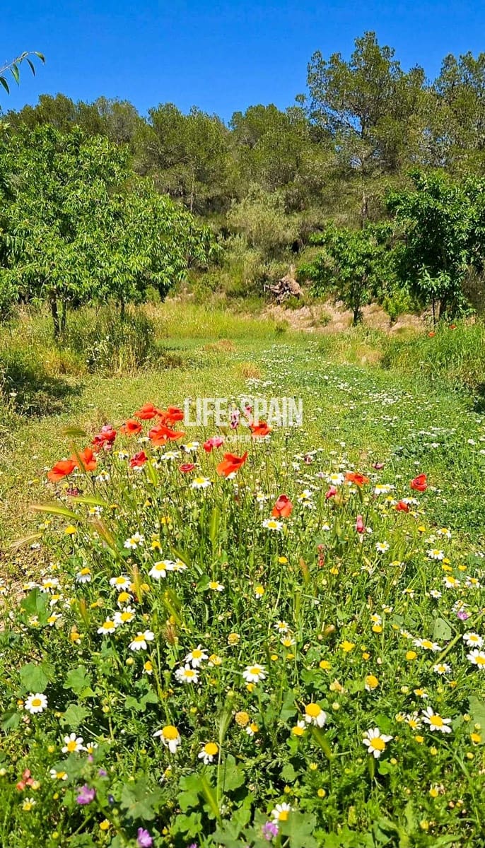 Finca/Casa Rural de 4 habitaciones en Miravet en venta - 310.000 € (Ref: 10167550)