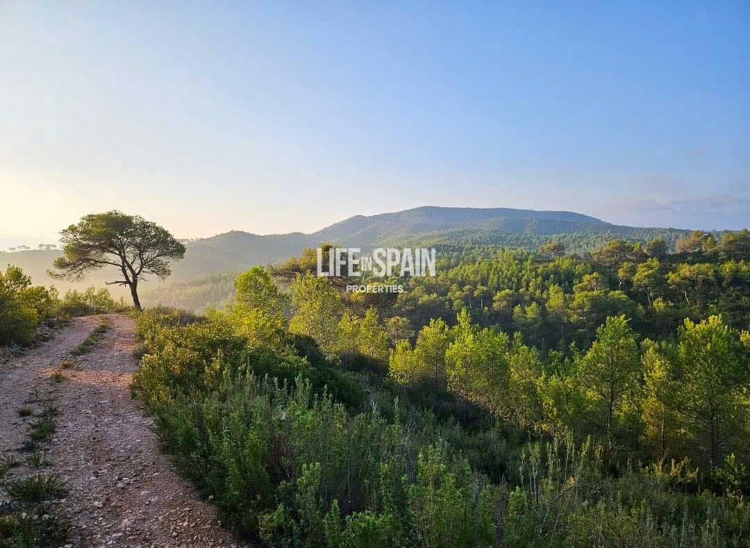 Finca/Casa Rural de 4 habitaciones en Miravet en venta - 310.000 € (Ref: 10167550)