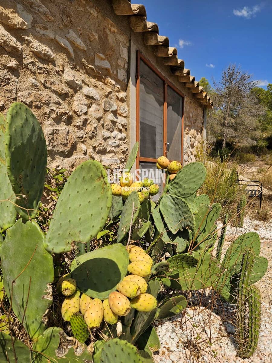 Finca/Casa Rural de 4 habitaciones en Miravet en venta - 310.000 € (Ref: 10167550)