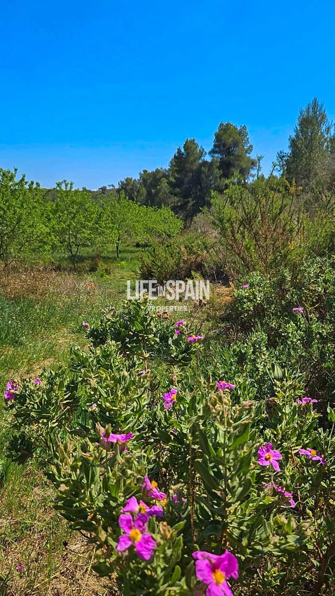 Finca/Casa Rural de 4 habitaciones en Miravet en venta - 310.000 € (Ref: 10167550)