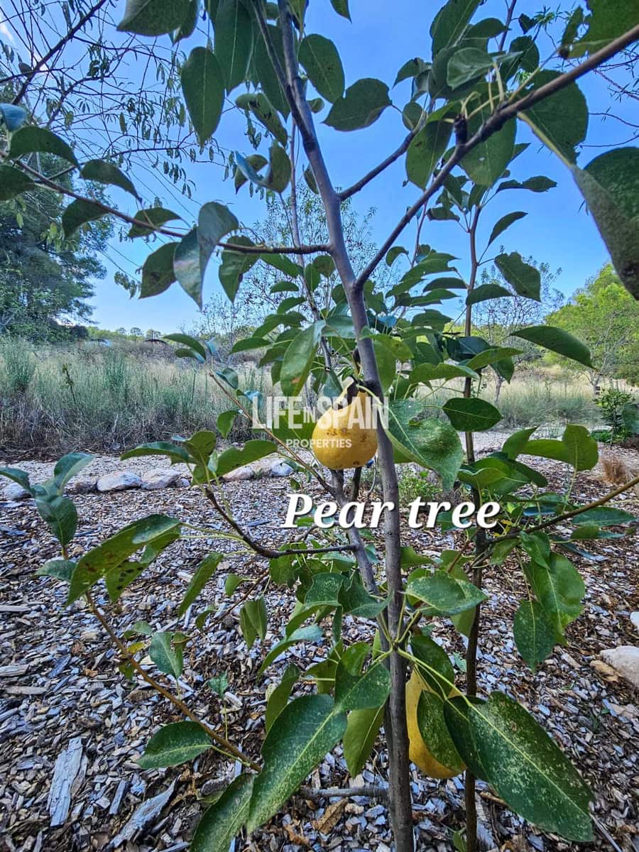 Finca/Casa Rural de 4 habitaciones en Miravet en venta - 310.000 € (Ref: 10167550)