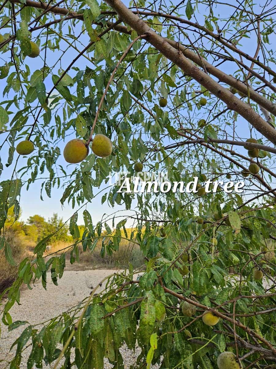 Finca/Casa Rural de 4 habitaciones en Miravet en venta - 310.000 € (Ref: 10167550)