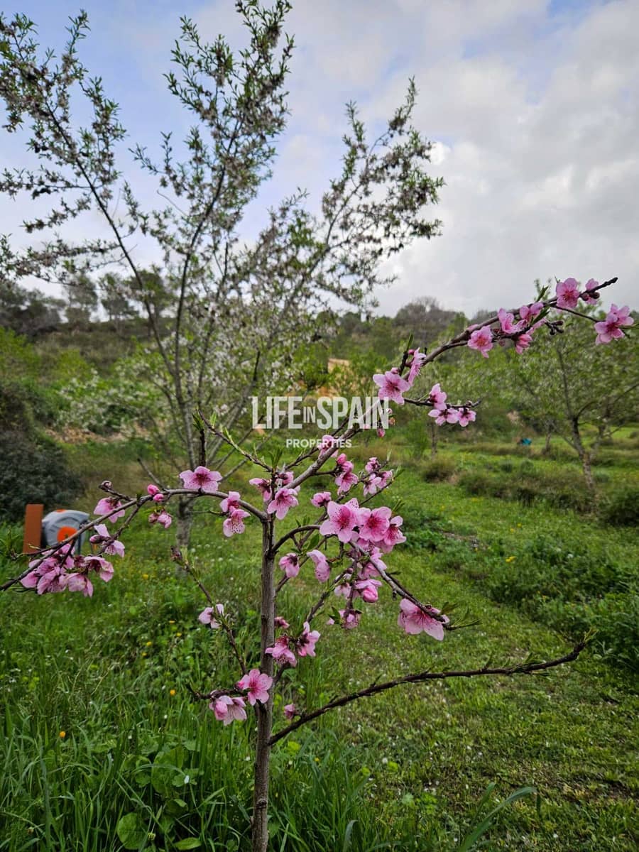Finca/Casa Rural de 4 habitaciones en Miravet en venta - 310.000 € (Ref: 10167550)