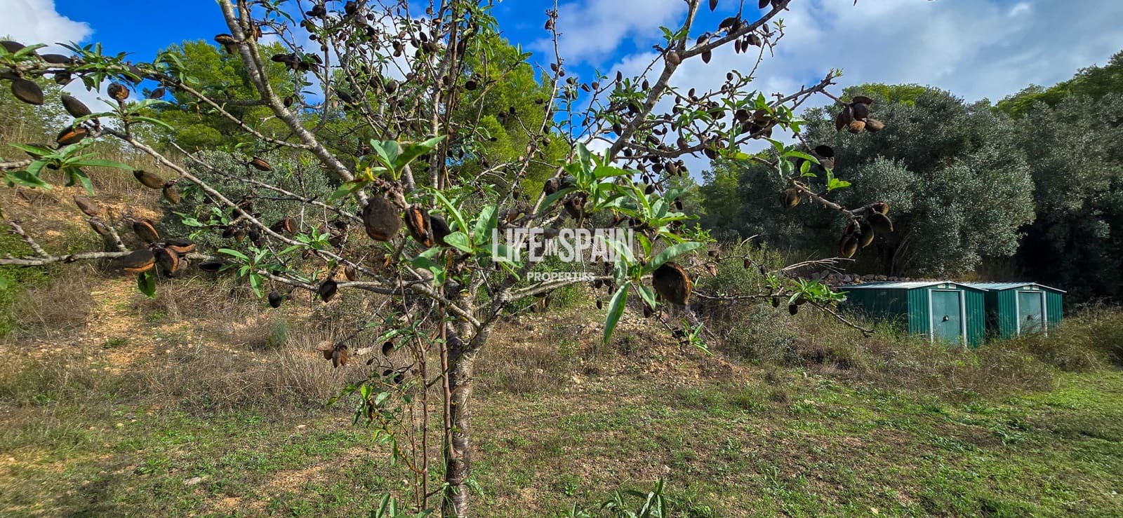 Finca/Casa Rural de 4 habitaciones en Miravet en venta - 310.000 € (Ref: 10167550)